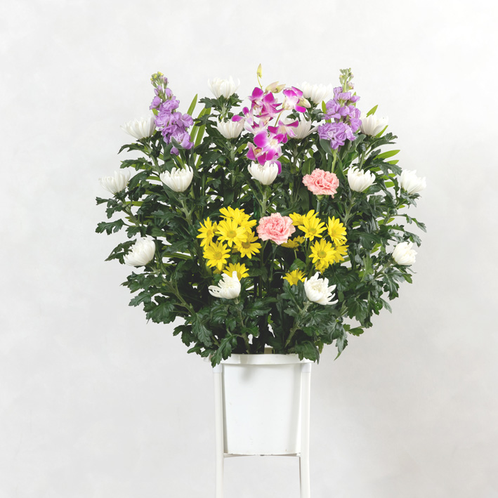 供花A